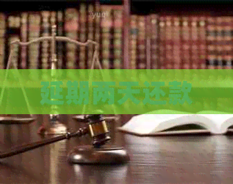 延期两天还款