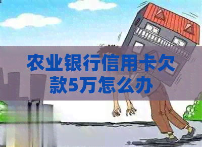 农业银行信用卡欠款5万怎么办