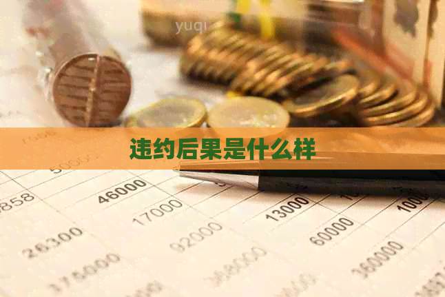 违约后果是什么样