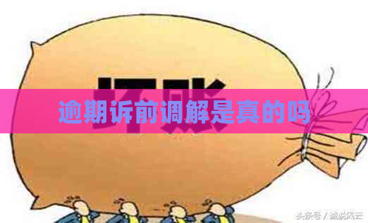 逾期诉前调解是真的吗