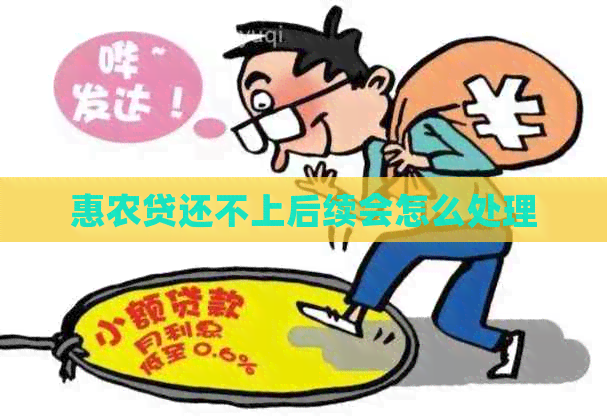 惠农贷还不上后续会怎么处理