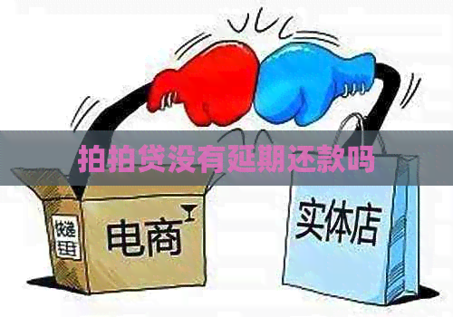 没有延期还款吗