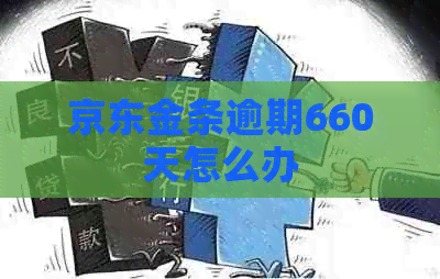 京东金条逾期660天怎么办