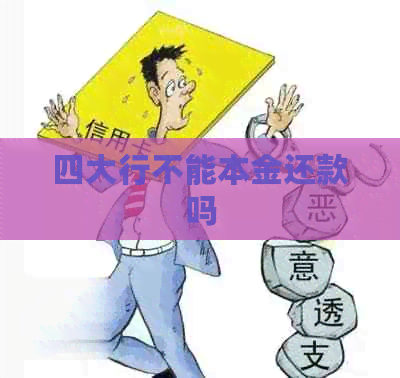 四大行不能本金还款吗