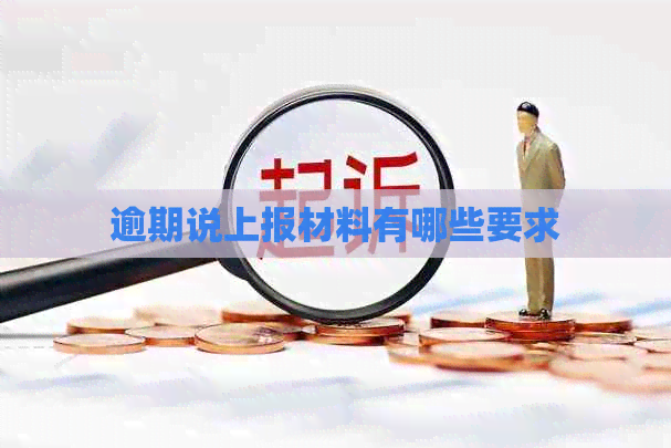 逾期说上报材料有哪些要求