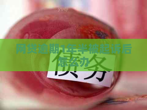 网贷逾期1年半被起诉后怎么办