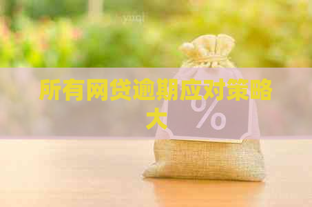 所有网贷逾期应对策略大