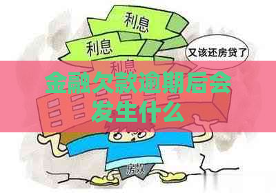金融欠款逾期后会发生什么