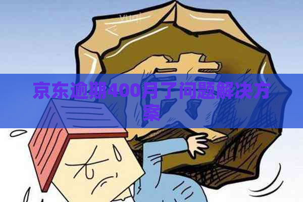 京东逾期400月了问题解决方案