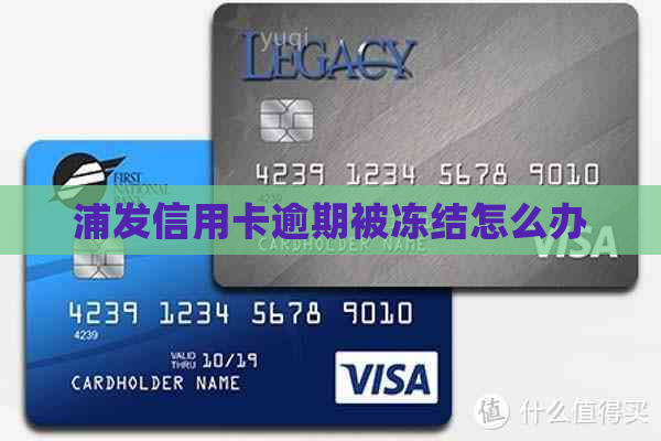 浦发信用卡逾期被冻结怎么办