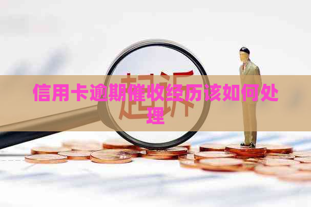 信用卡逾期经历该如何处理
