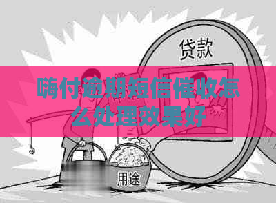 嗨付逾期短信怎么处理效果好