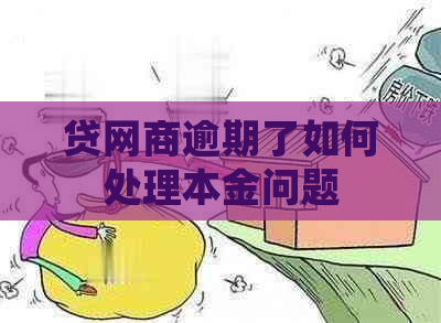 贷白条逾期了如何处理本金问题
