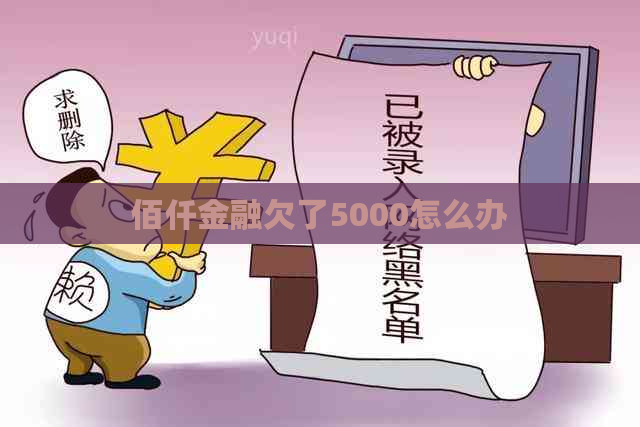 佰仟金融欠了5000怎么办