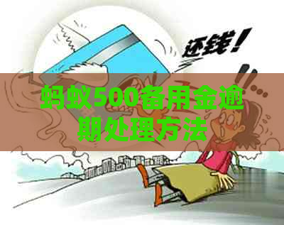 蚂蚁500备用金逾期处理方法