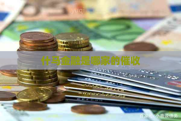 什马金融是哪家的