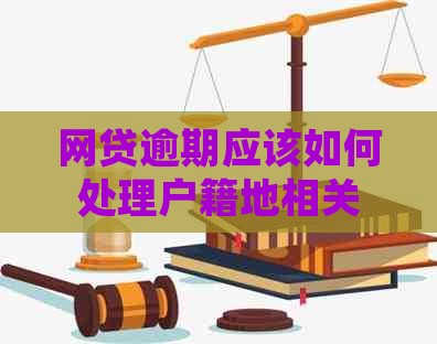 网贷逾期应该如何处理户籍地相关材料提交
