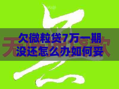 欠微粒贷7万一期没还怎么办如何妥善处理