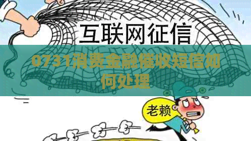 0731消费金融短信如何处理