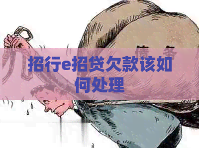 招行e招贷欠款该如何处理