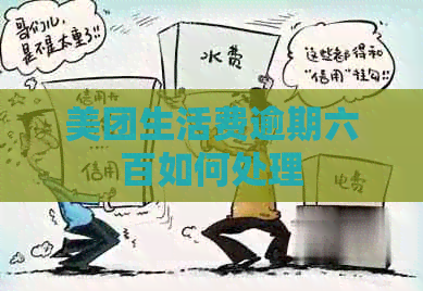 美团生活费逾期六百如何处理