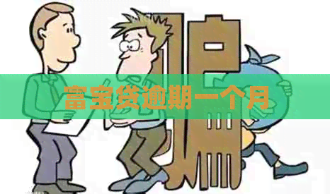 富宝贷逾期一个月