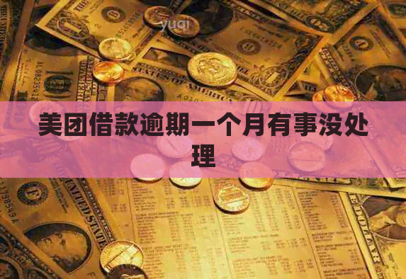 美团借款逾期一个月有事没处理