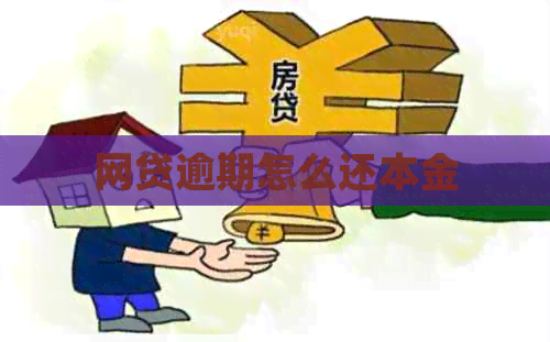 网贷逾期怎么还本金