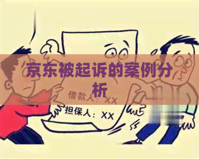 京东被起诉的案例分析