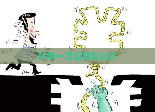 好呗一直逾期怎么办