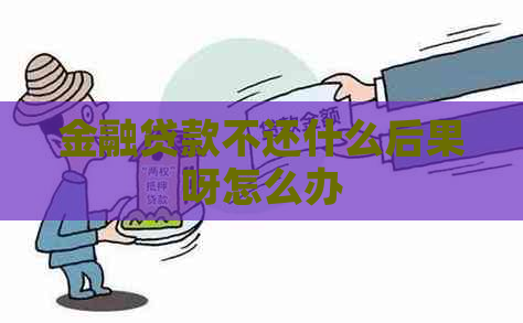 金融贷款不还什么后果呀怎么办