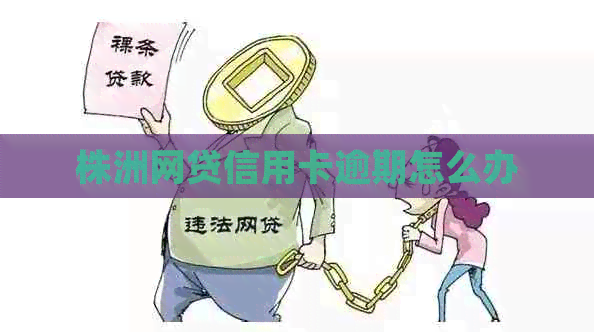 株洲网贷信用卡逾期怎么办