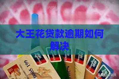 大王花贷款逾期如何解决