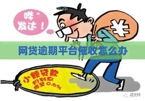 网贷逾期平台怎么办