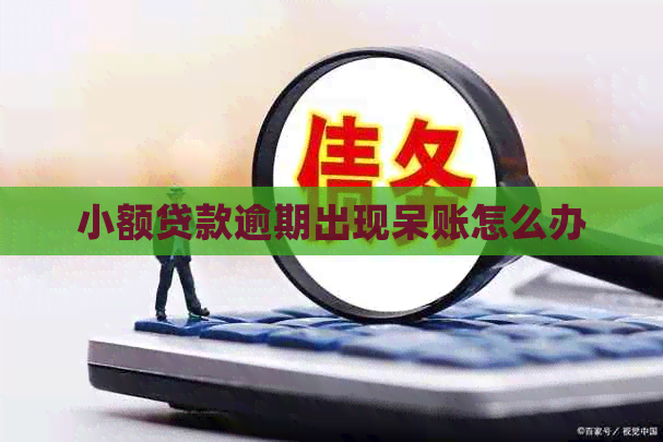小额贷款逾期出现呆账怎么办