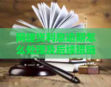 网捷贷利息逾期怎么处理及后续措施