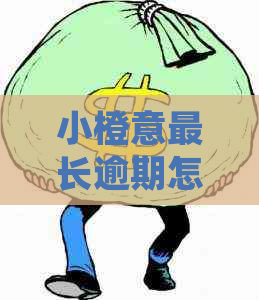 小橙意最长逾期怎么处理