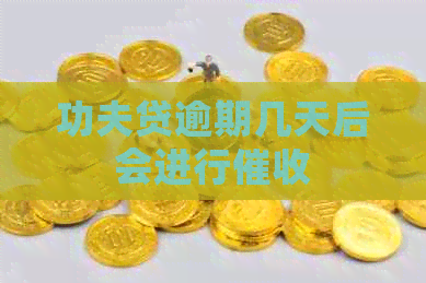 功夫贷逾期几天后会进行