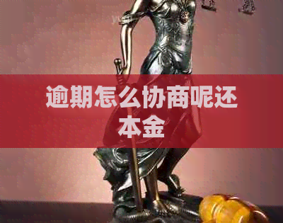 逾期怎么协商呢还本金