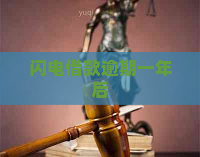 闪电借款逾期一年后