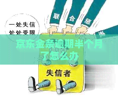 京东金条逾期半个月了怎么办