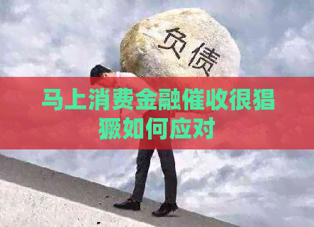 马上消费金融很猖獗如何应对