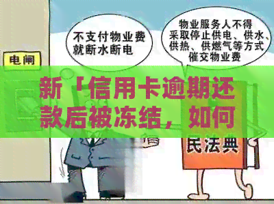 新「信用卡逾期还款后被冻结，如何解决不能正常使用的问题？」