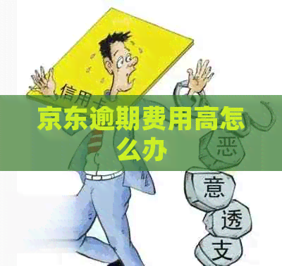 京东逾期费用高怎么办