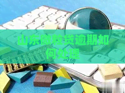 山东微粒贷逾期如何处理