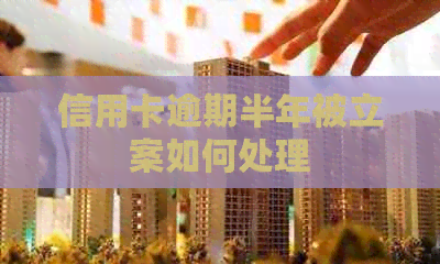 信用卡逾期半年被立案如何处理 信用卡逾期半年被立案如何处理