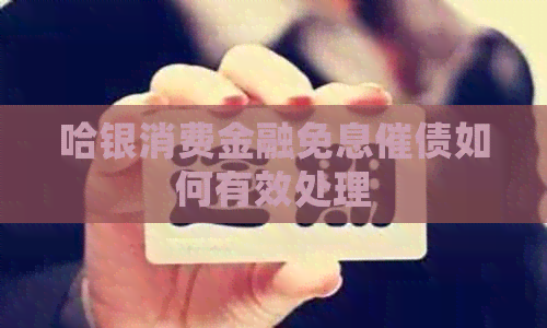 哈银消费金融免息催债如何有效处理