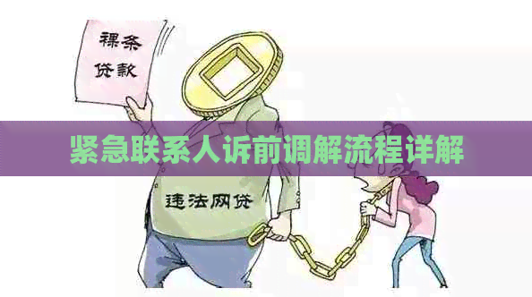 紧急联系人诉前调解流程详解