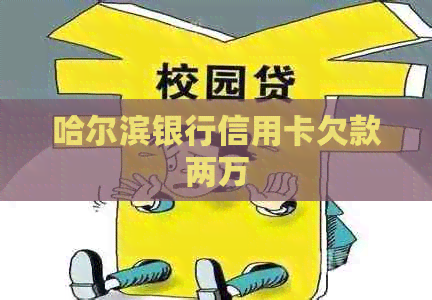 哈尔滨银行信用卡欠款两万