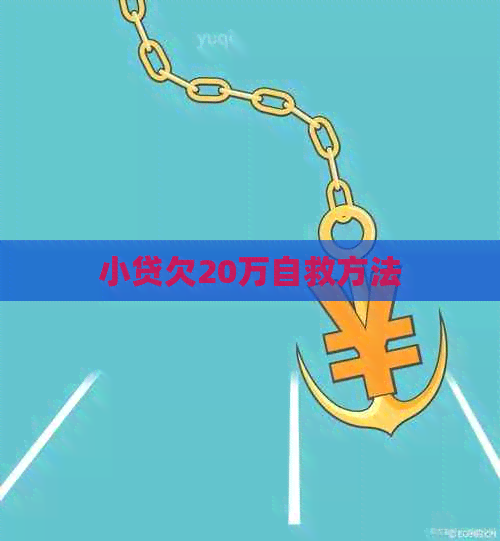 小贷欠20万自救方法